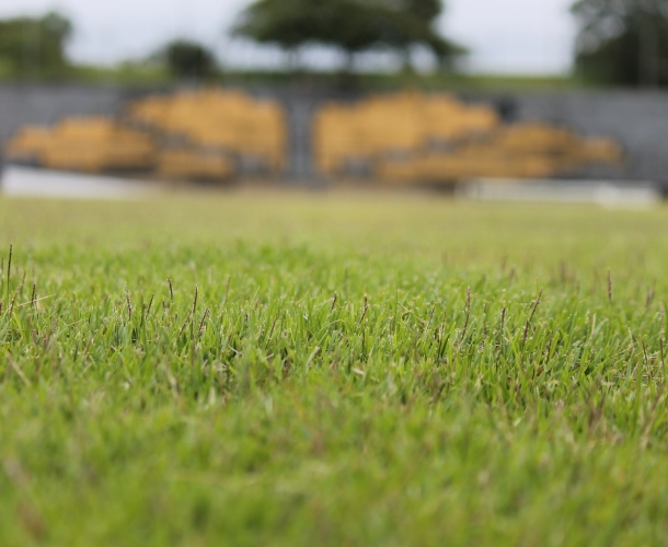 Campos do CT do Tigre serão revitalizados