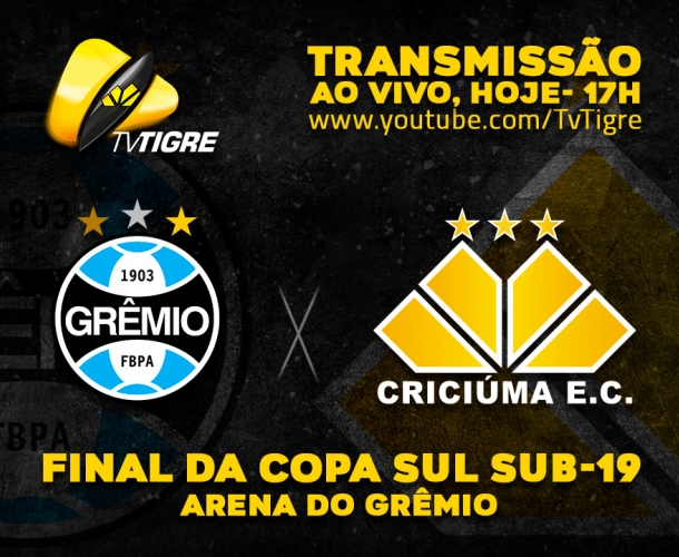 Final do Sul-Brasileiro ao vivo na TV Tigre