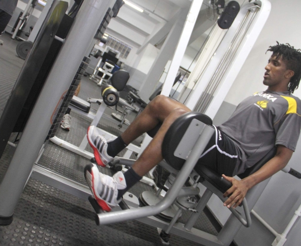 Tigre faz treino de recuperação física