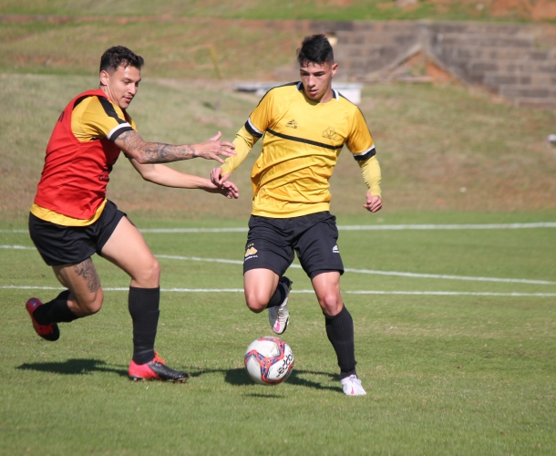 Tigre recebe o Paraná no Heriberto Hülse