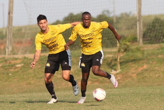 Tigre treina e viaja a Maceió (AL)