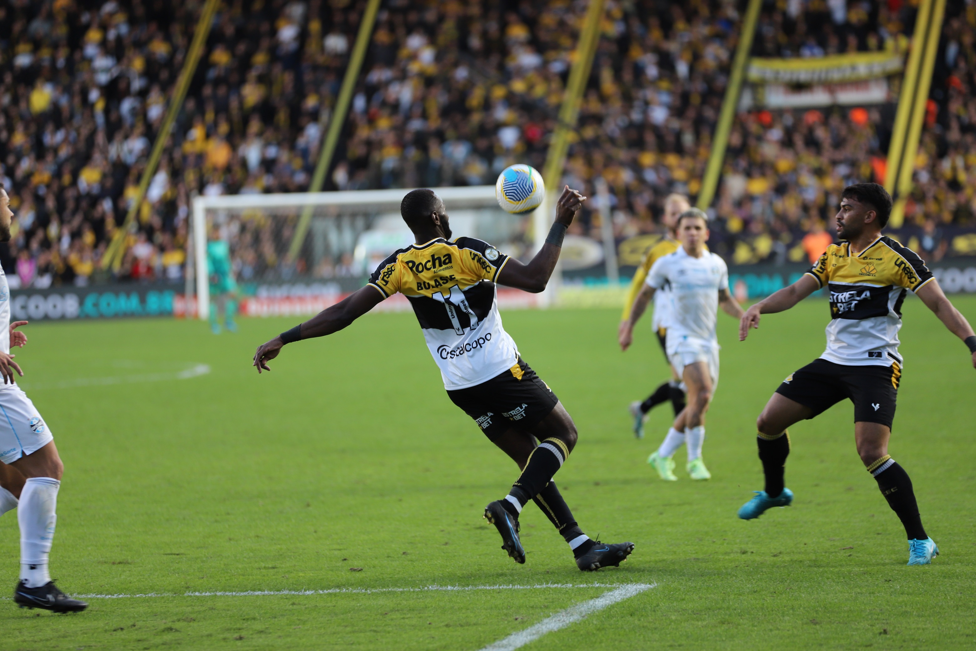 Fotos Criciúma x Grêmio