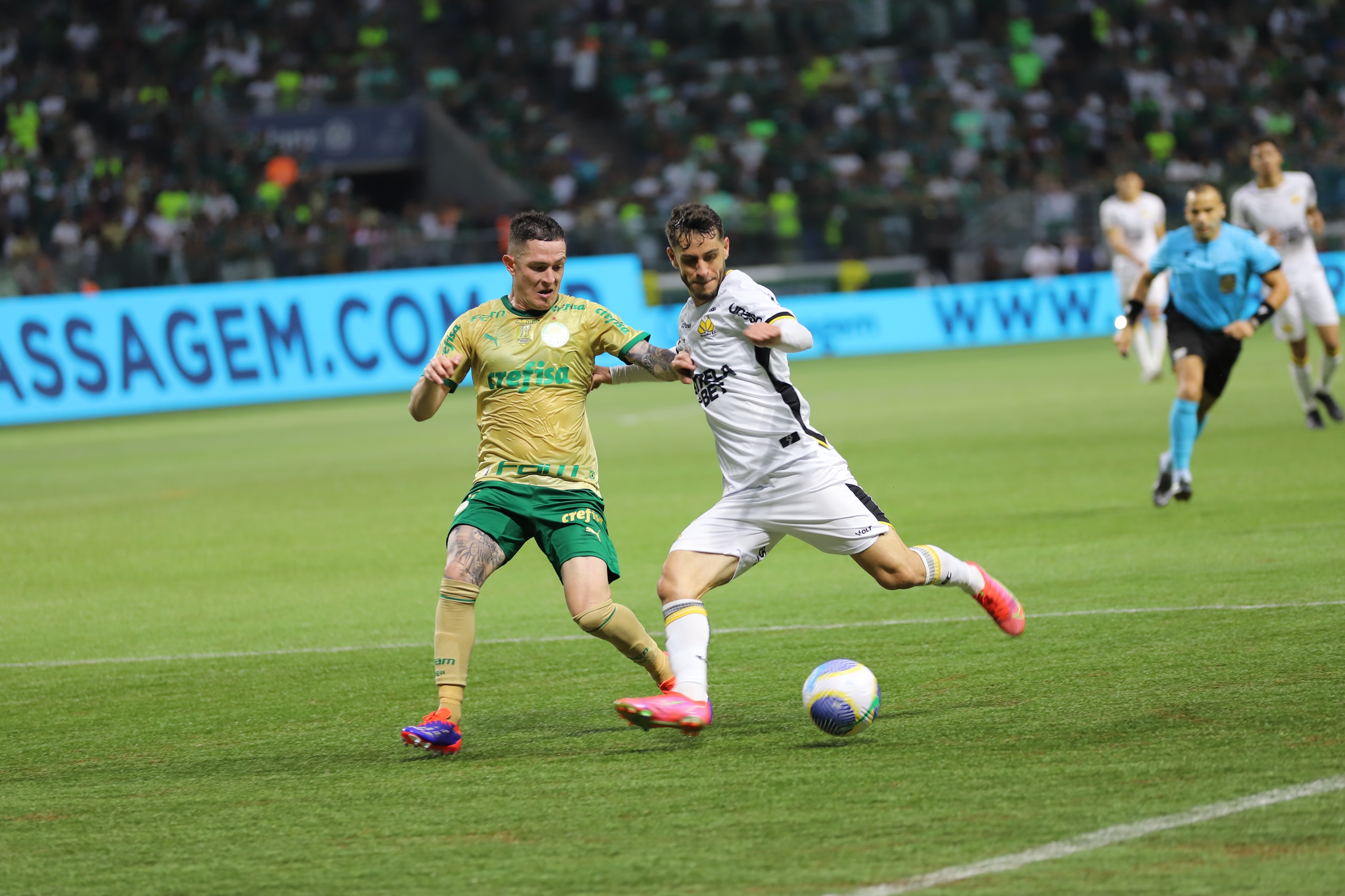 Fotos Palmeiras x Criciúma